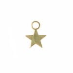 charm-star-oro-1.jpg